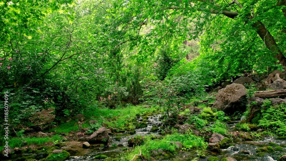 A serene view of a stream flowing gently between natural rocks, surrounded greenery.This enchanting scene reflects the tranquility and wild beauty of nature, offering a sense of peace and harmony.