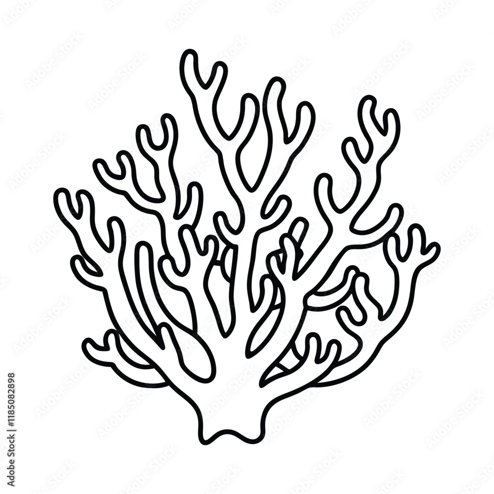 Elegant Coral Line Art Designs