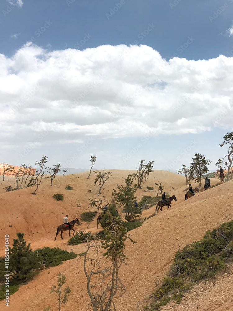 Horseback Riders in the Desert Horseback Riders in the Desert