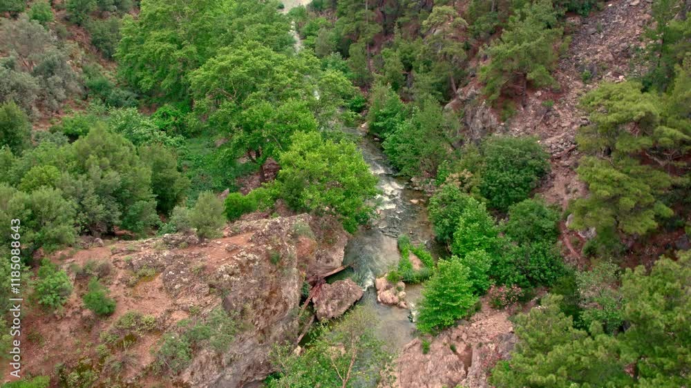 An aerial view of a natural landscape: A clear river flowing alongside a forest covered with lush green pine trees. A captivating reflecting the tranquility and of nature. An aerial view of a natural landscape: A clear river flowing alongside a forest covered with lush green pine trees. A captivating reflecting the tranquility and of nature.