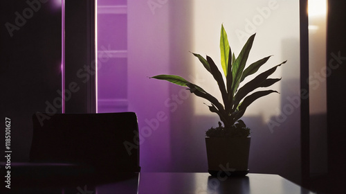 Home office workspace with a potted plant and a monitor illuminated by vibrant purple and yellow lighting through blinds, creating a cinematic and modern mood photo