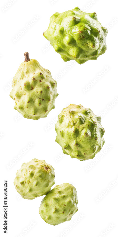 Obraz premium Cherimoya isolated. Cherimoya, fruit, exotic, tropical, fresh, organic, healthy, sweet, smooth texture, creamy, delicious, green, edible, diet, vegan, raw.