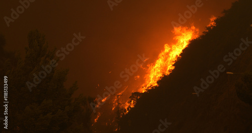 Malibu Wildfire, Pacific Palisades, Woodley Fire, California USA photo