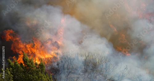 Malibu Wildfire, Pacific Palisades, Woodley Fire, California USA
