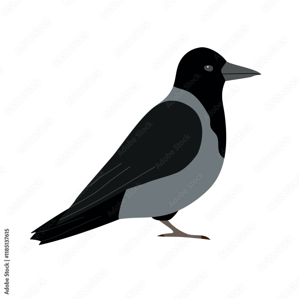 Obraz premium Vector flat hand drawn crow isolated on white background