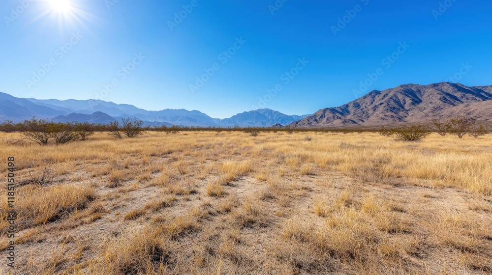 Wilderness and desert pristine, A vast, dry landscape features golden grasses under a bright blue sky, with distant mountains framing the horizon. Wilderness and desert pristine, A vast, dry landscape features golden grasses under a bright blue sky, with distant mountains framing the horizon.