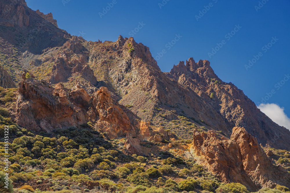 Obraz premium Landscape of El Teide