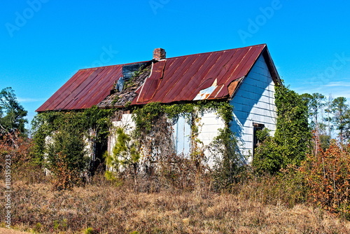 Abandoned and Overgrown Farm Home Right