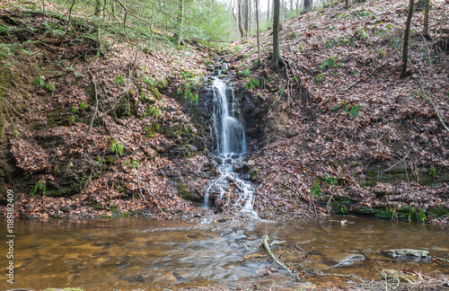 waterfall in the woods