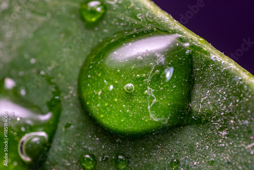 gota de agua, hojas, acuático, naturaleza, bajar, llover, el rocio, fábrica, macro, mojado photo