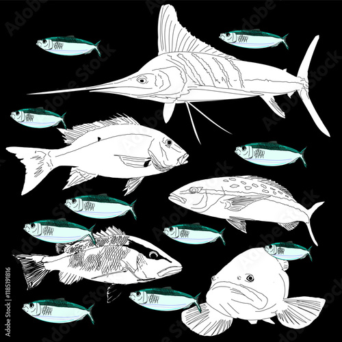 Gamefish silhouettes and colorful baitfish patterns, black background  photo