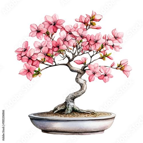 A watercolor painting of a Korean Dogwood Bonsai, isolated on a white background. Korean Dogwood Bonsai vector.
