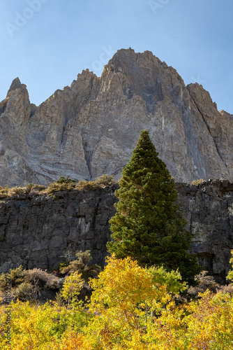 Obraz na płótnie A stunning autumn landscape in the Eastern Sierras near Convict Lake. A prominent evergreen tree stands tall amidst vibrant yellow foliage, set against a backdrop of rugged rocky towering peaks w salonie