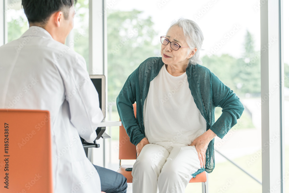 Fototapeta premium 股関節の痛みを訴える高齢者女性と診察する男性医師の後ろ姿 