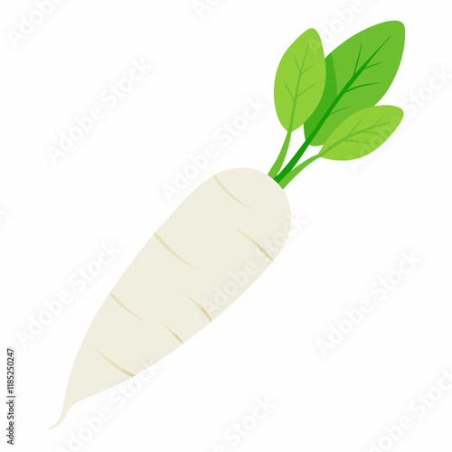 white long radish