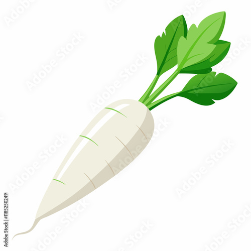 white long radish