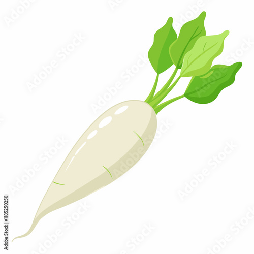 white long radish