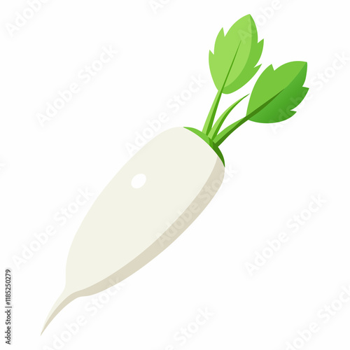 white long radish
