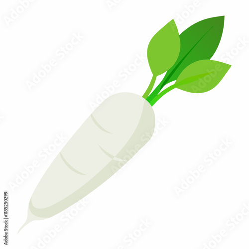 white long radish