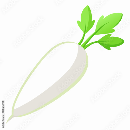 white long radish