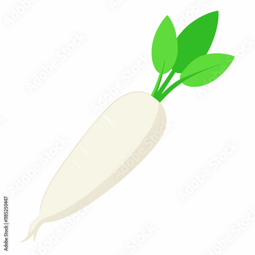 white long radish