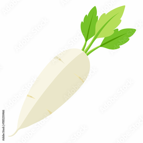 white long radish