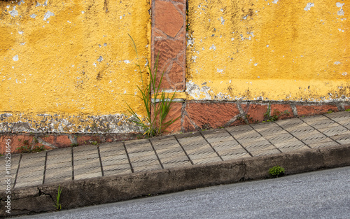 Wallpaper Mural Reinforced concrete sidewalk covered with cement slab ceramics on a sloping asphalt street with branches of invasive vegetation growing in gaps and cracks in front of an old wall with aged orange pain Torontodigital.ca