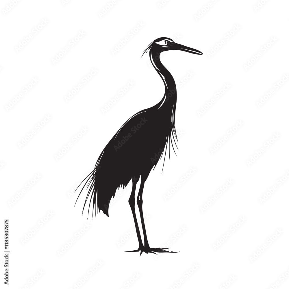 Obraz premium black crowned crane