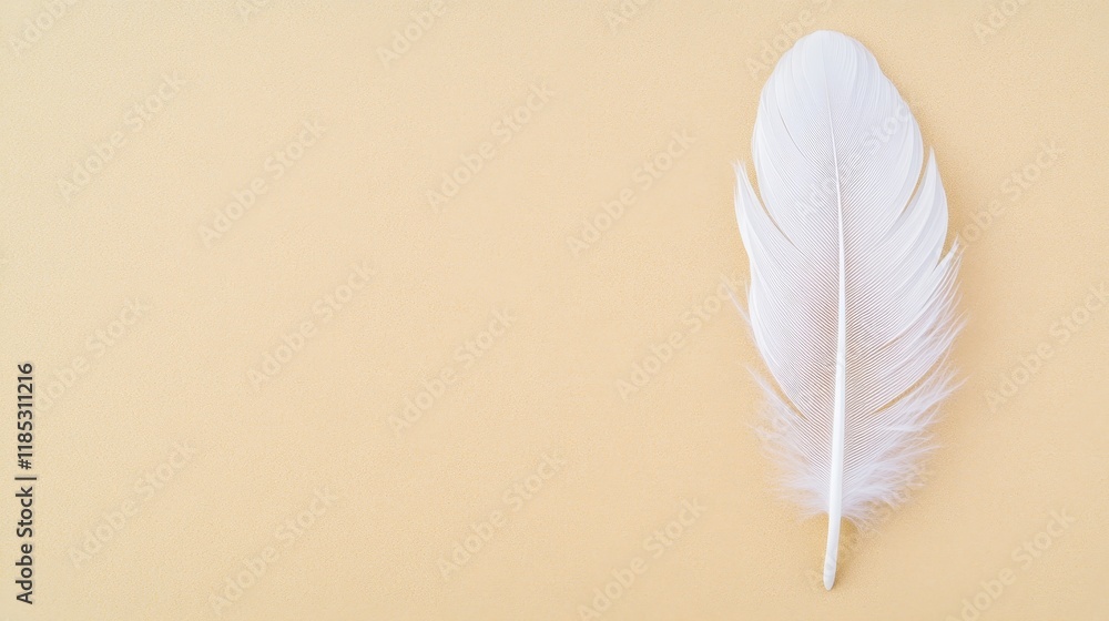 Soft and Elegant White Feather on a Smooth Yellow Background for Nature and Design Inspired Themes and Creative Projects Soft and Elegant White Feather on a Smooth Yellow Background for Nature and Design Inspired Themes and Creative Projects