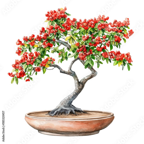 A watercolor of an Indian Coral Tree Bonsai, isolated on a white background. Indian Coral Tree Bonsai vector.
