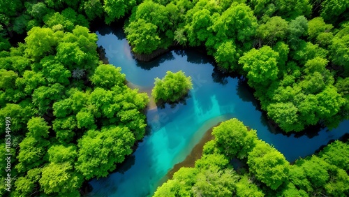 Ecosystem and Healthy Environment. Concepts and Nature Background. Tropical Rainforest. Aerial Top View. photo