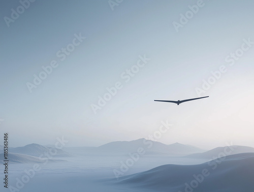 Vast Gliders Efficiently Deliver Messages Across Coastal Area photo