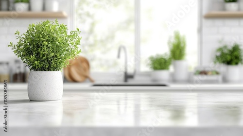 Potted Plant on Kitchen Cou...