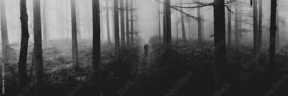 Naklejka premium Mysterious foggy forest path