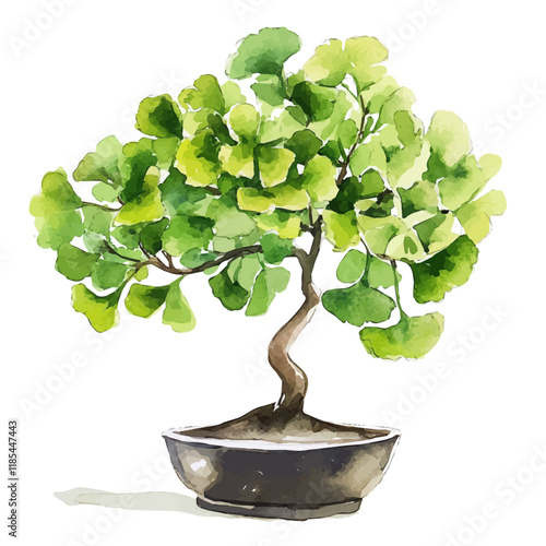 A watercolor drawing of a Ginkgo Bonsai, isolated on a white background. Ginkgo Bonsai vector.
