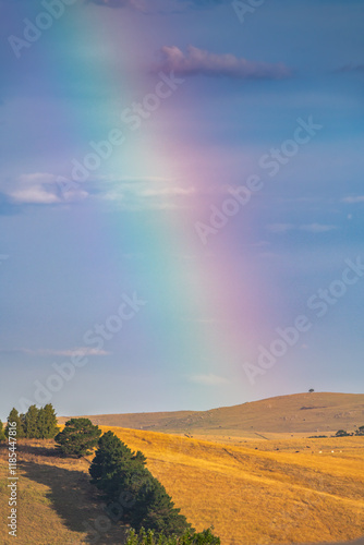 Rainbow after the storm over the rural countryside photo