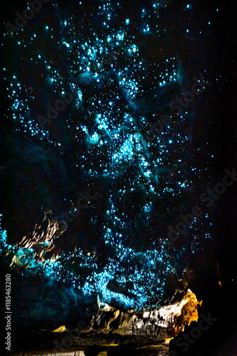 New Zealand's bioluminiscent glow worms in Waipu Caves	