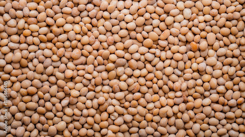 Mustard Seeds Close-Up: A m...