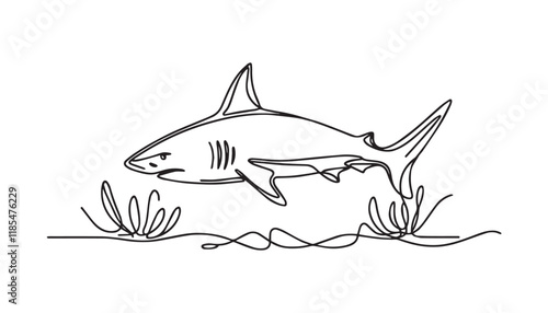 shark and fish line art