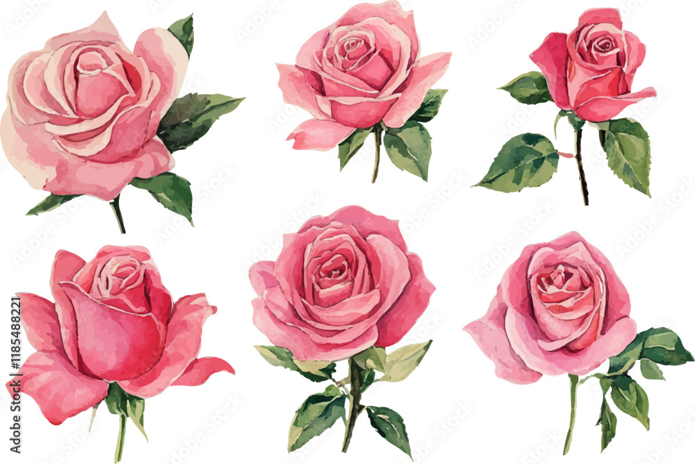 bouquet of roses bouquet of roses