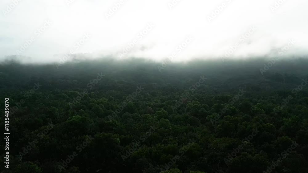 Ariel Drone View Foggy Morning Sunset With Green Forest At Sempadi Coastal Road Link Sarawak,Borneo. Ariel Drone View Foggy Morning Sunset With Green Forest At Sempadi Coastal Road Link Sarawak,Borneo.