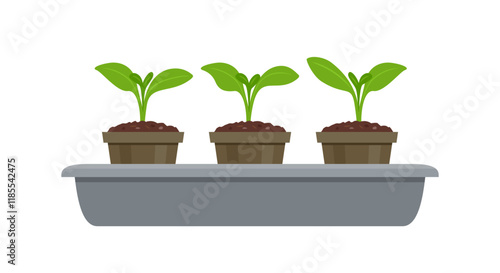 Seedling tray with sprouts plants in pots. Gardening concept. Vector cartoon flat illustration.