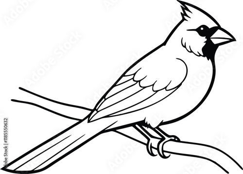 Cardinal bird on branch vector, bird on a branch line art vector isolated white background