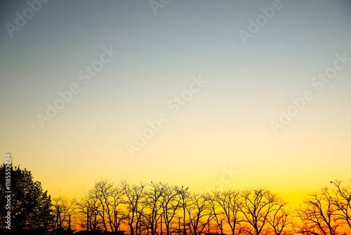 残光の夕焼け空 photo