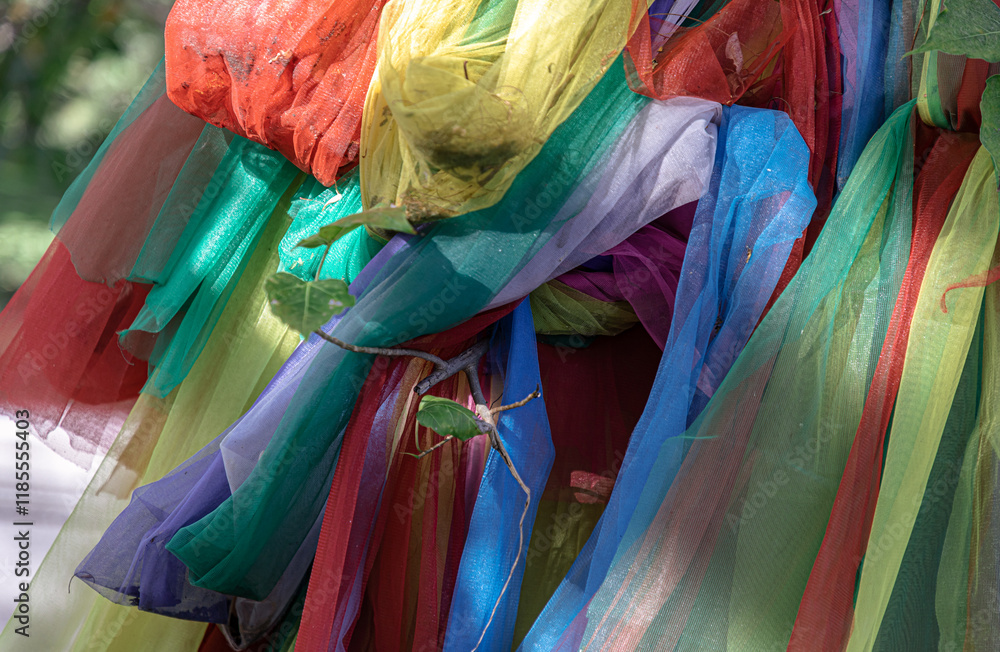 Tie vibrant colorful fabrics stands as a focal point in a spiritual setting and cultural. Various multicolored ribbons are tied wrapped around holy the massive trunk of age old sacred tree. The layers