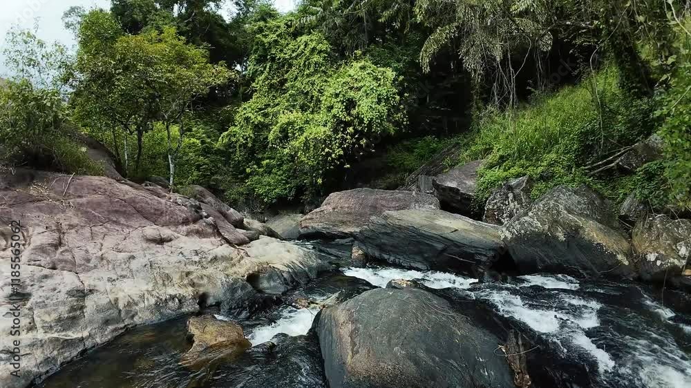 Relax and unwind with this stunning 4K FPV drone footage of a water stream in tropical greenery. Relax and unwind with this stunning 4K FPV drone footage of a water stream in tropical greenery.