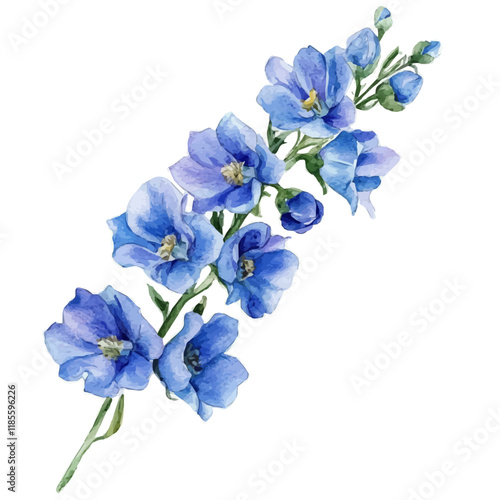 A watercolor vector of a Delphinium branch, isolated on a white background. Delphinium vector.
