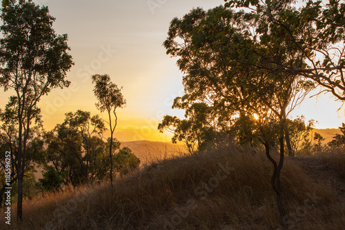 A sunrise view over the Australian Outback, with silhouettes of hardy trees and shrubs, capturing the essence of a new day.
