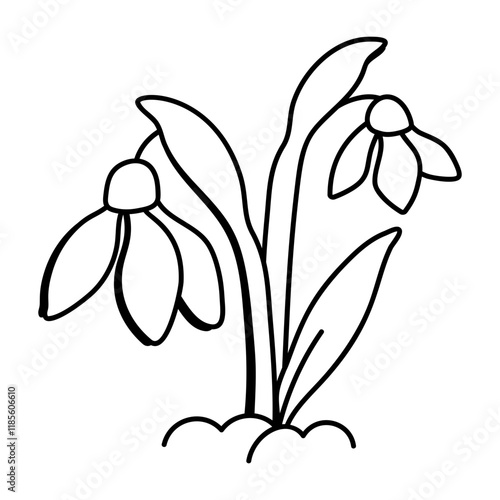 A sketchy icon of snowdrop plant 

