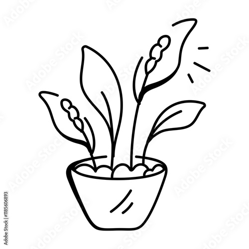 A hand drawn icon of peace lilies 

